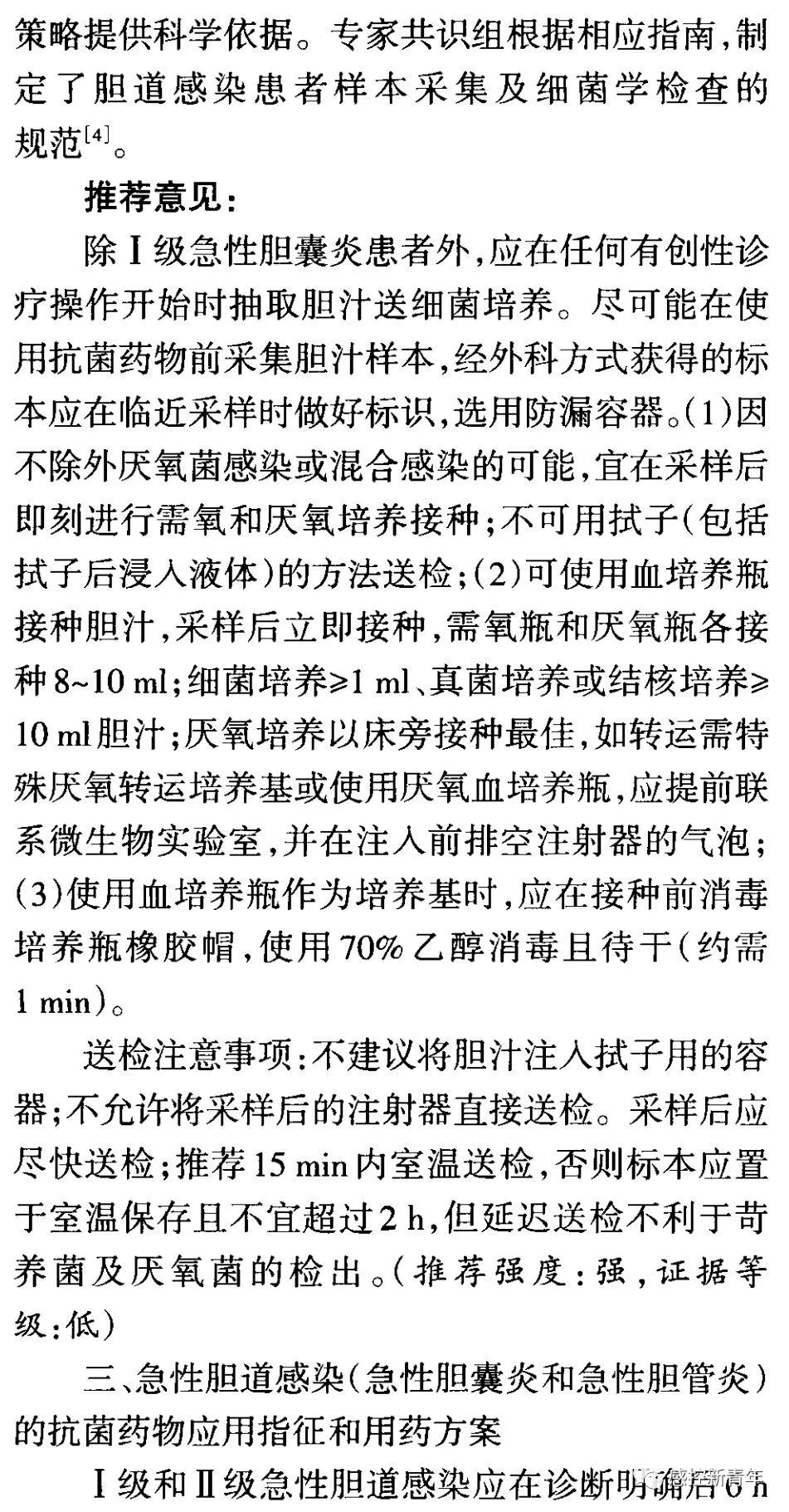 于海滨专家一语定胆邪，权威解读与深度剖析