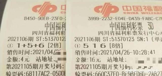 揭秘3D彩票开奖结果，一场期待与惊喜的盛宴——以XXXX年XXXX期为例