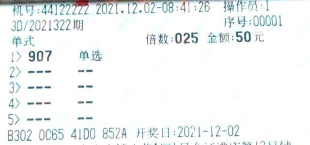 揭秘3D彩票第2012313期开奖结果，幸运与期待交织的时刻