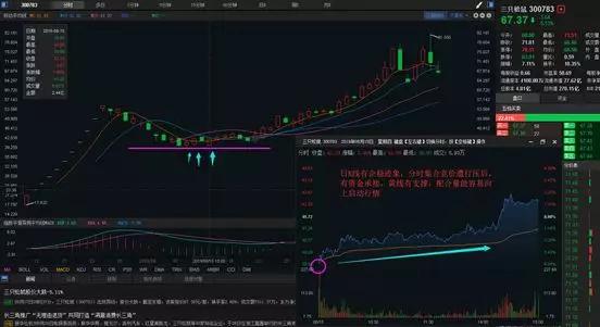 福彩三D走势图，探索彩票世界的神秘面纱