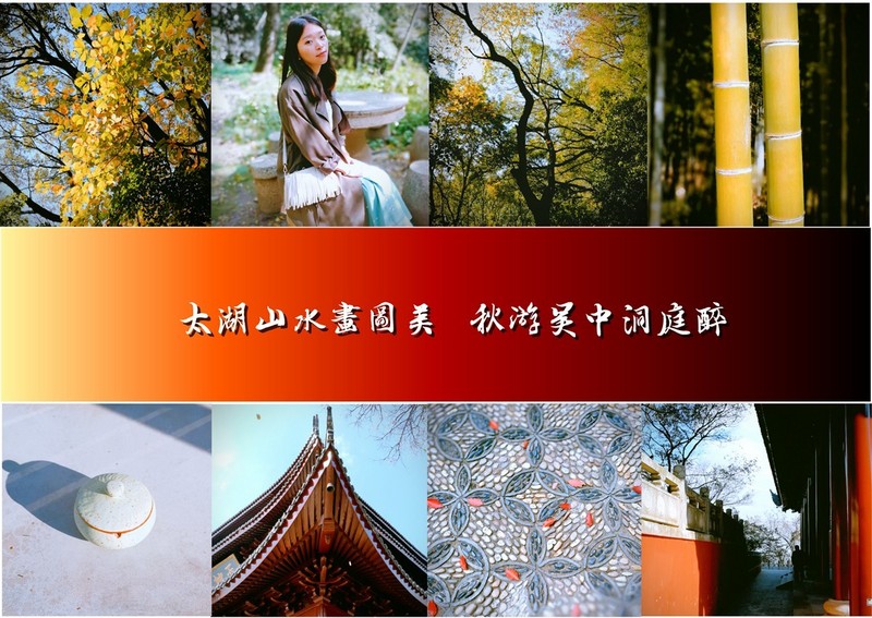 天齐网丹东太湖图谜，探索与解析