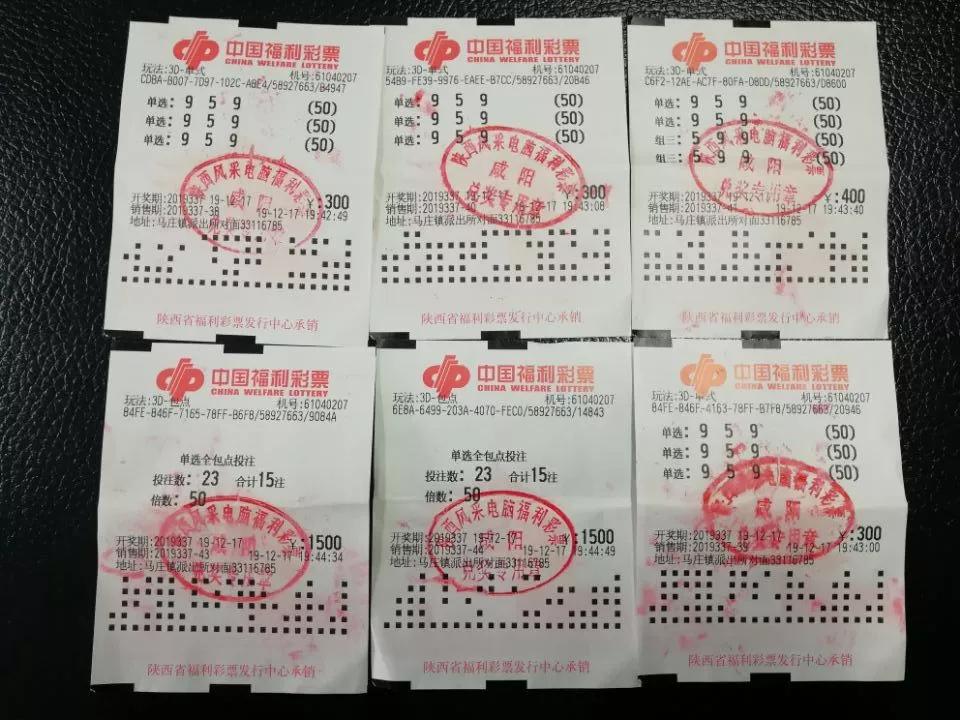 福彩3D高手论坛与静音网站，探索、分享与成长
