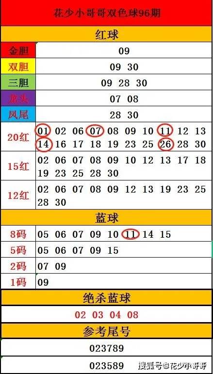揭秘双色球开奖结果，关于2024年第一期双色球开奖结果的深度解析与查询指南