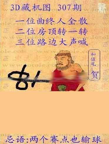 探索神秘的宝藏，解读2020年312期3D藏机图