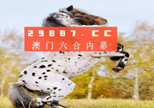 白小姐三码三期必出一期