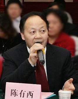 陈有西律师简介