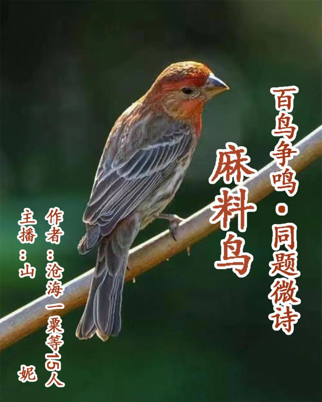 二肖二码长期免费公开马料