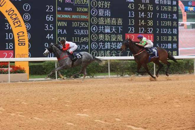 今天晚上开什么特马（Tonights Special Horse Race）澳门今天晚上开什么特马11月26号开什么号码