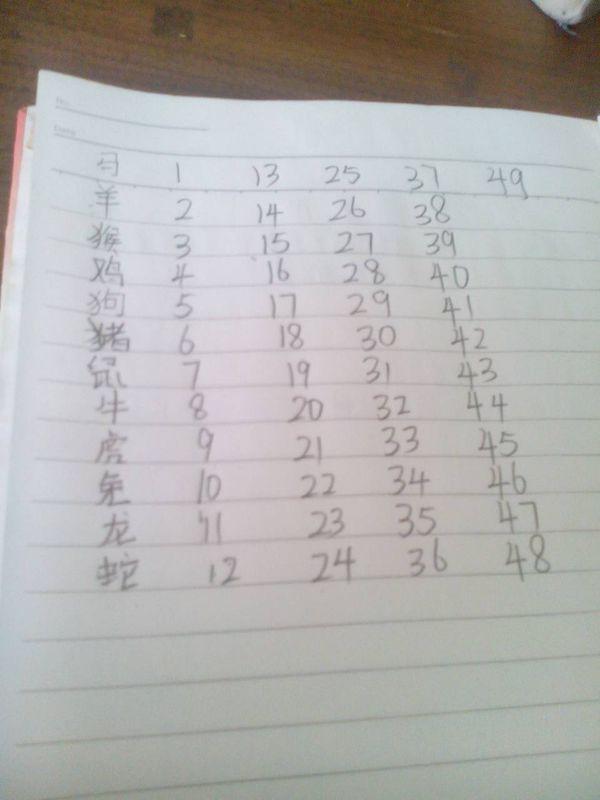 2025生肖49码表图片