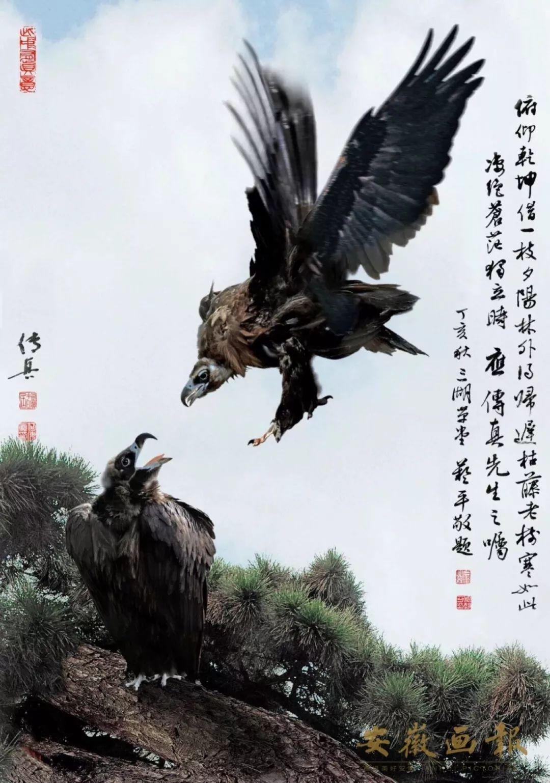 澳门传真澳门传真网
