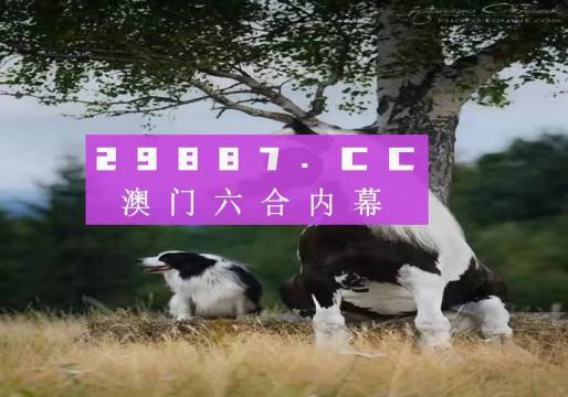 澳门六下彩资料网站金牛版