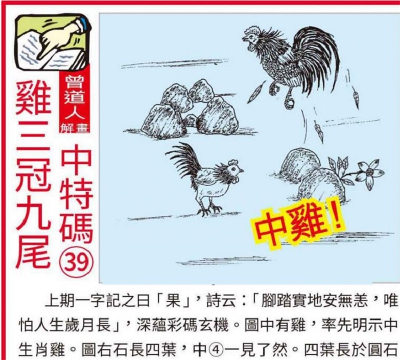 澳门正版马会精选资料大全2024年奥彩开奖记录