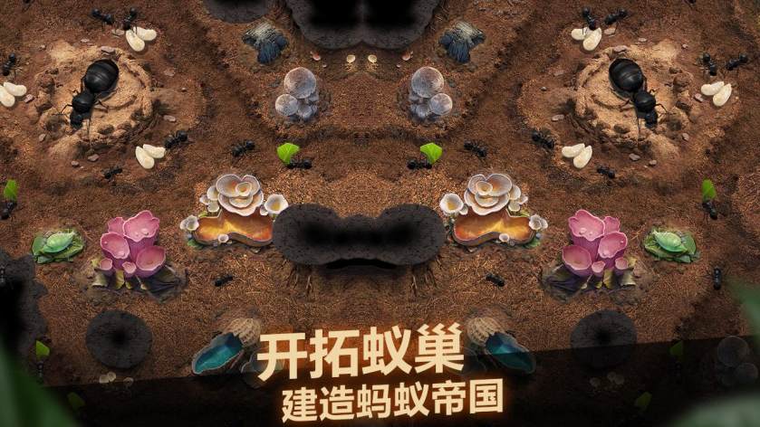 木蚂蚁游戏中心