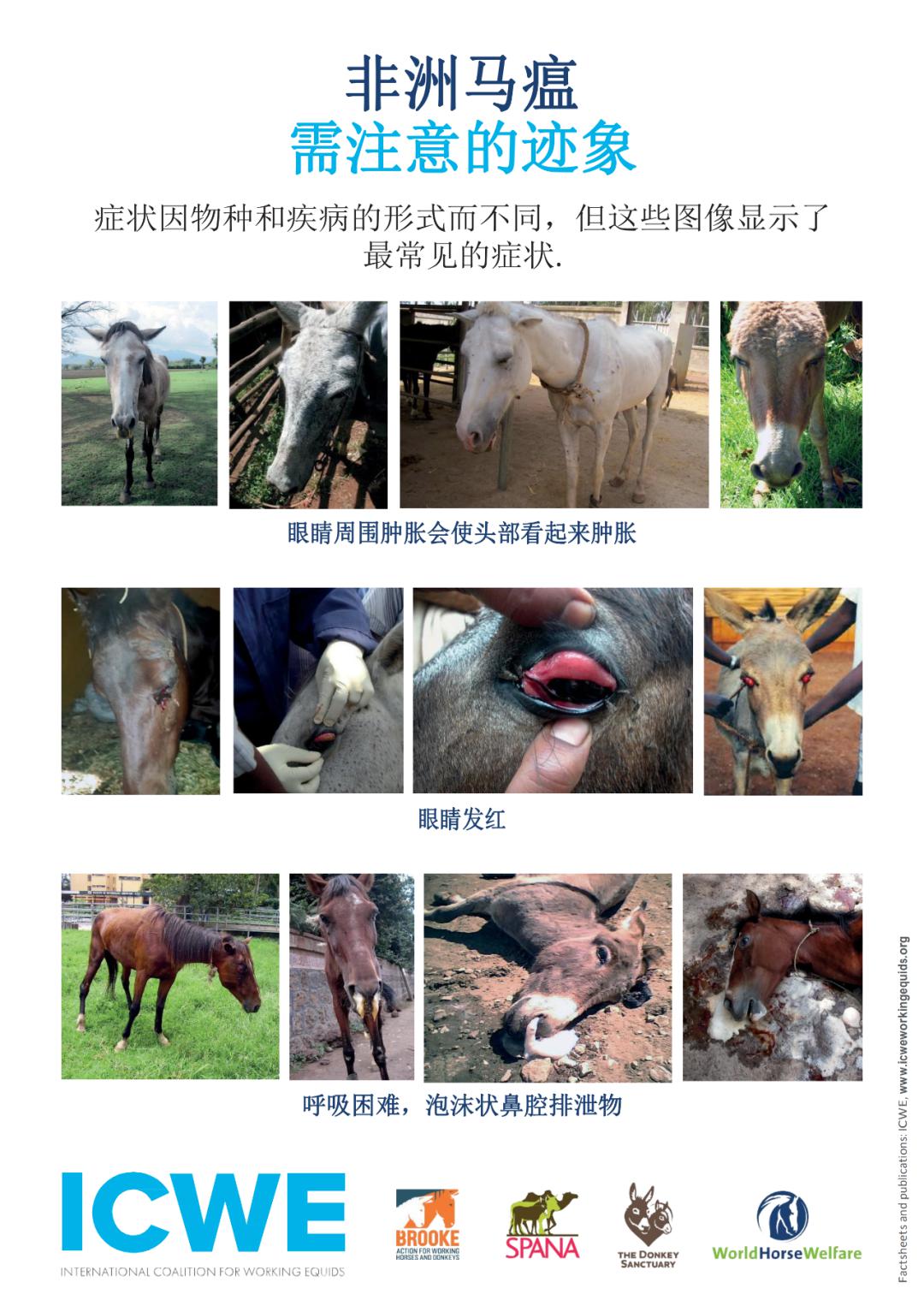特马资料最准网站2024开奖