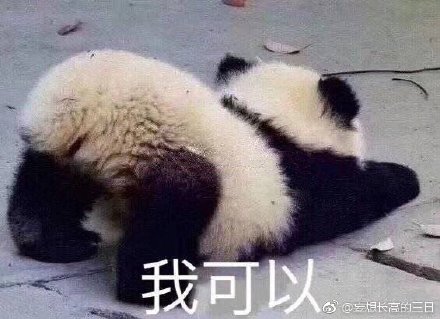 四不像特肖图2021今天