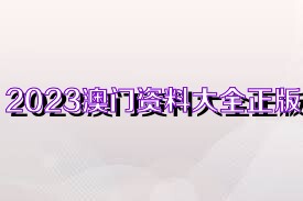 王中王之魅力，探索数字时代的神秘符号ww493.com王中王100%期期准澳彩