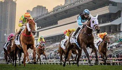 2019正版马会资料大全—探索赛马世界的全面指南2018年正版马会免费资料大全