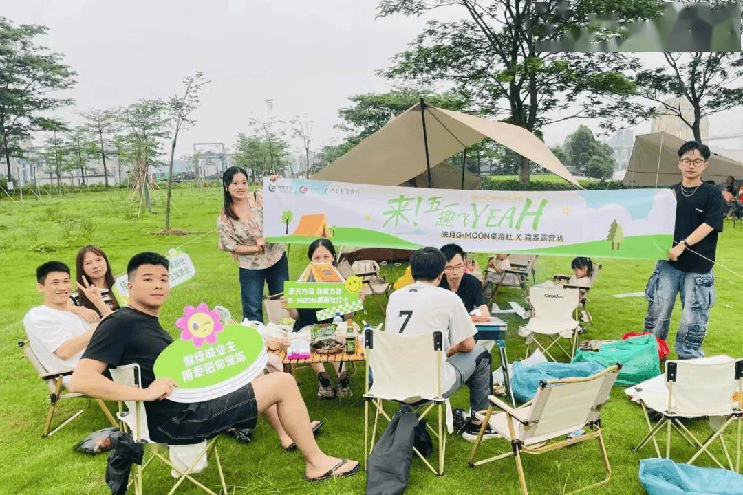 二四六天天好彩枓，探寻生活中的美好元素