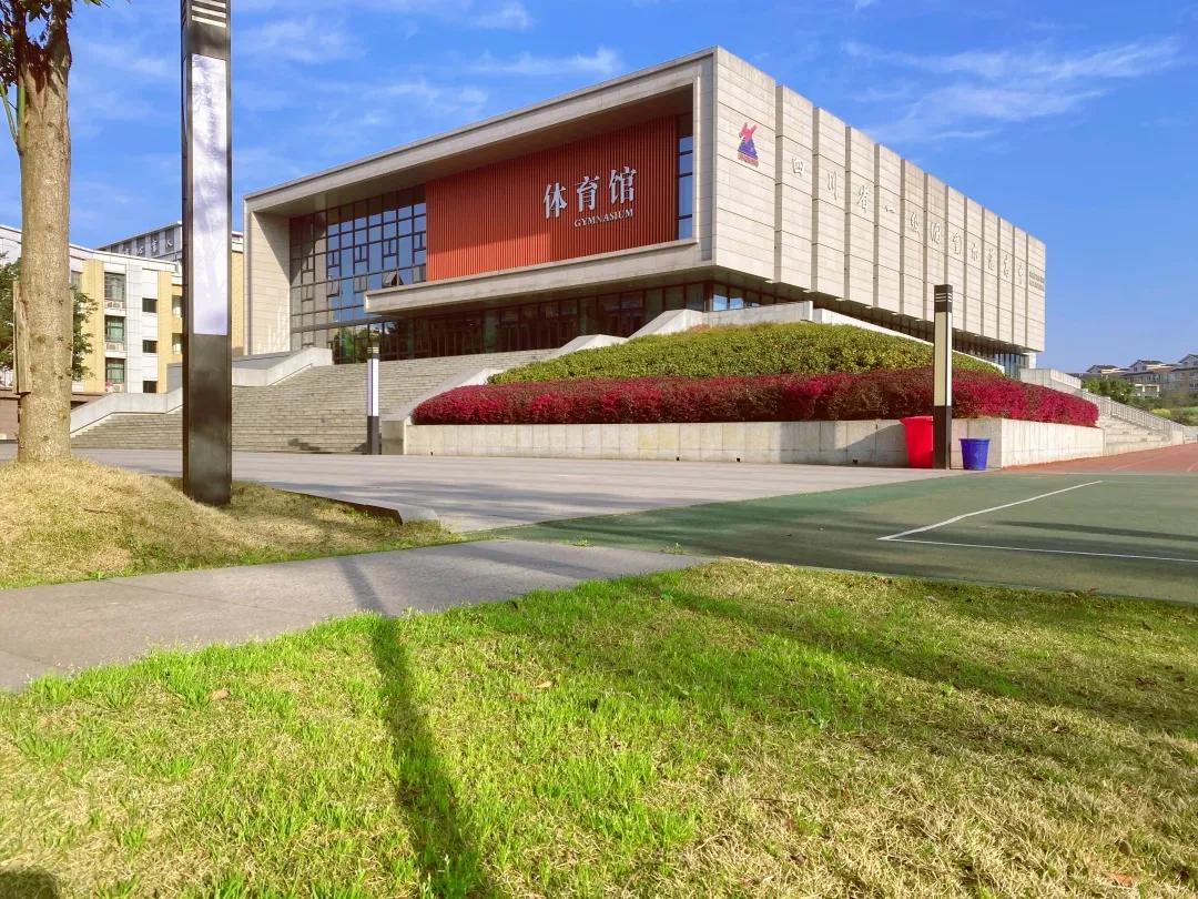免费网站2021年能用的有哪些