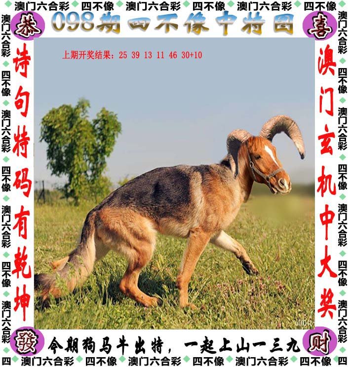 探索神秘莫测的62数字背后的四不像图626969四不像图片今天的