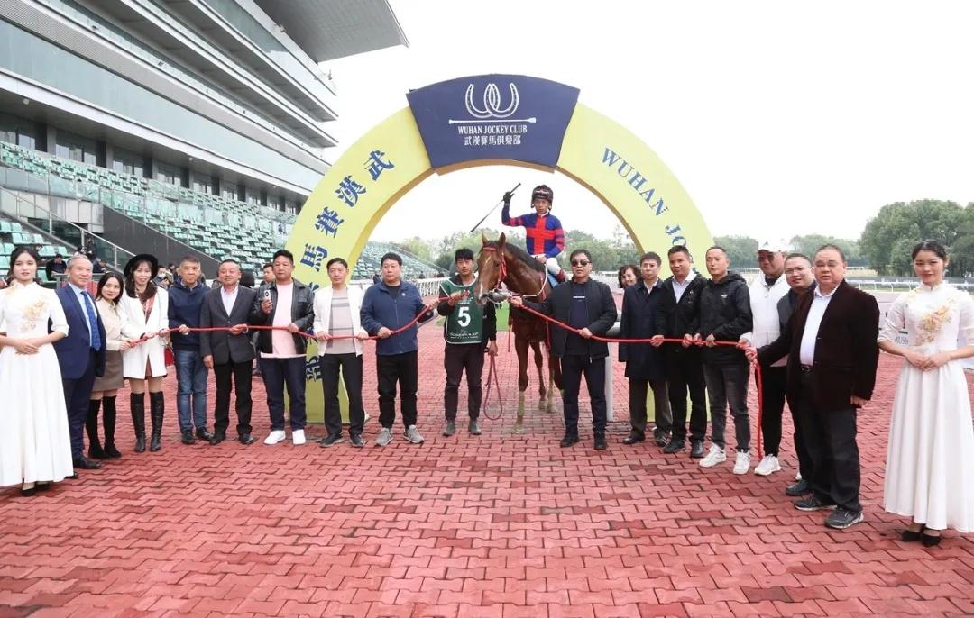 2019香港马会资料大全免费—全方位了解赛马世界的指南香港2021年马会资料大全