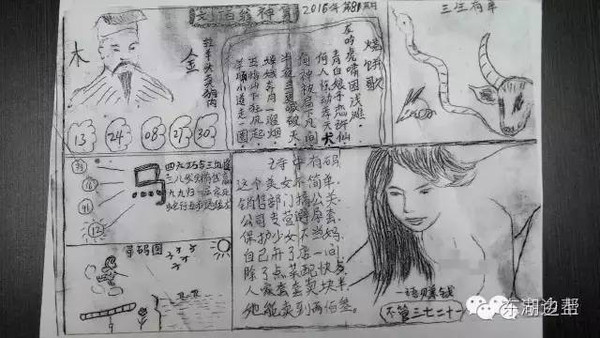 探索管家婆马报图片的世界，历史、应用与影响管家婆马报图片2021