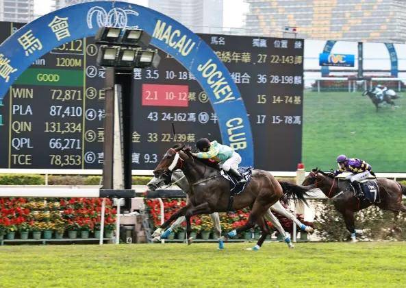 香港马会开启赛事直播时代，赛马结果实时传递，观众体验全新升级