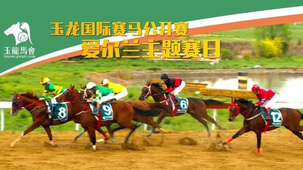 香港赛马文化，探索马术运动的魅力与今天赛马的精彩瞬间今天香港开什么特马人民日报任平文章