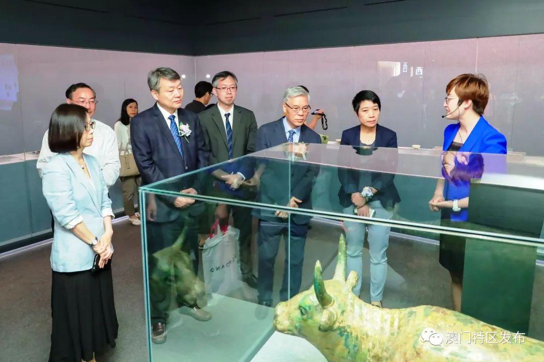 澳门今期开奖结果查询，探索彩票世界的神秘面纱澳门今期开奖结果开奖查询直播网下载