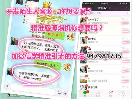 新澳内部资料精准一码，揭秘其背后的秘密与价值澳门正版内部资料第一版