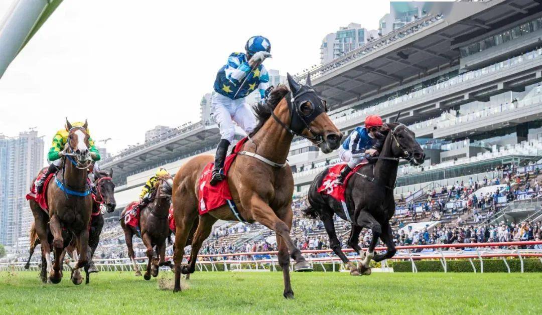 香港马会资料大全，赛马运动的魅力与多元信息解析