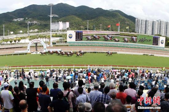 香港赛马会精选资料大全，深度解析与全方位透视香港赛马会资料大全料大全