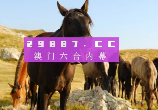 澳门管家婆大全20年精华版—免费分享，探索未来之路2023澳门管家婆大全免费2024