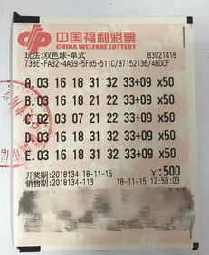 香港码今晚开奖结果查询—揭秘彩票背后的故事香港码今晚开奖结果查询最快
