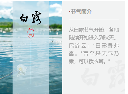 白小姐诗意中的精准一句诗，探索与解读白小姐449999精准一句诗的预测与对应