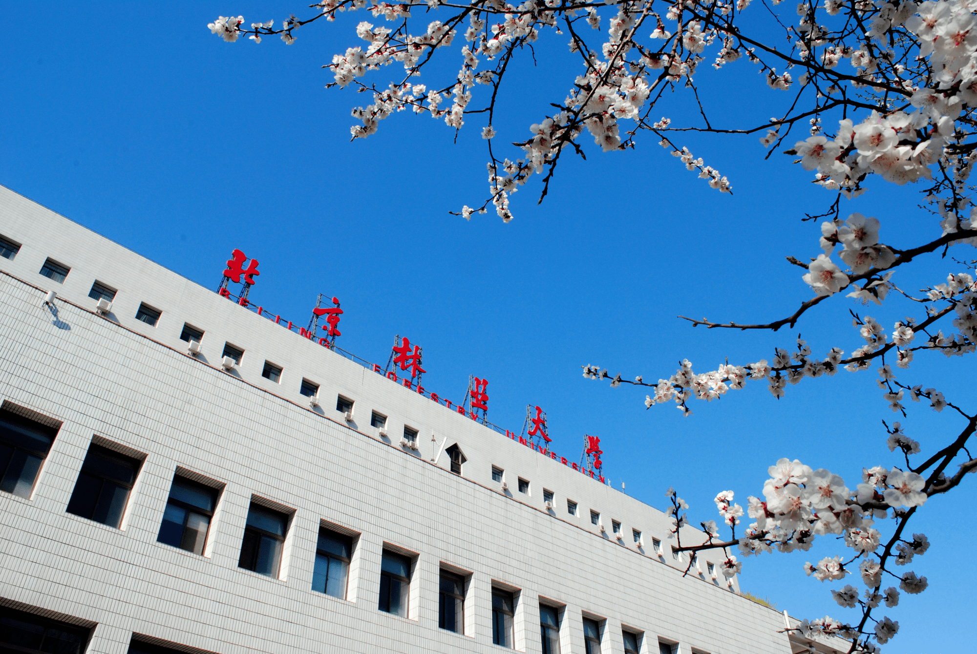 北京人才网招聘信息概览湾芜人才网工业园招聘信息
