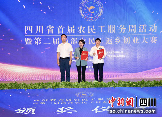 四川省人力资源考试官网，一站式服务平台助力职业发展四川省人力资源考试官网登录入口