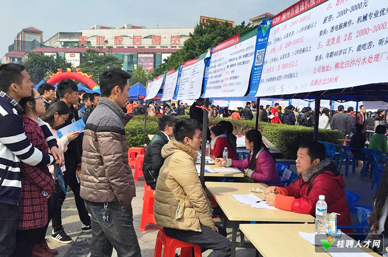钦州人才网唯一官网—引领您走向成功的职业平台首页钦州人才网
