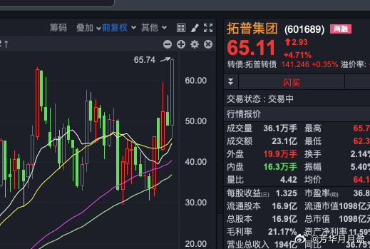 拓普集团，引领行业变革，铸就卓越传奇拓普集团股吧
