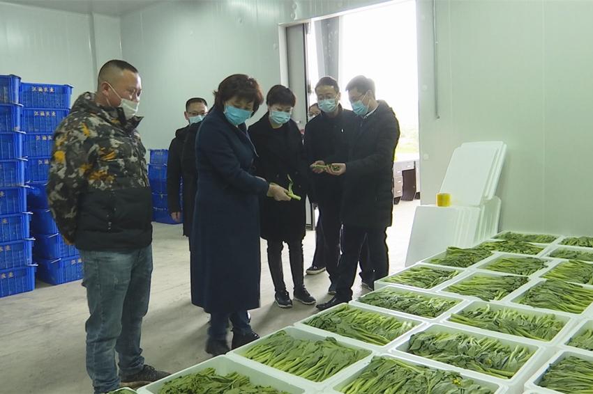 贵州人力资源招聘官网—连接人才与机遇的桥梁贵州人力资源网考试网