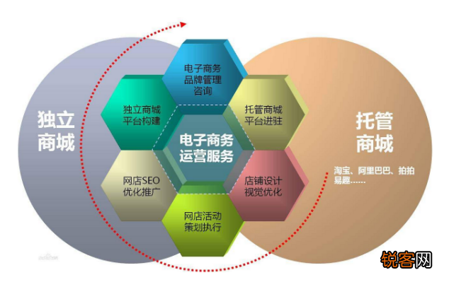 学电子商务出来能干嘛，多元化职业路径与无限商机学电子商务出来能干嘛报考公务员