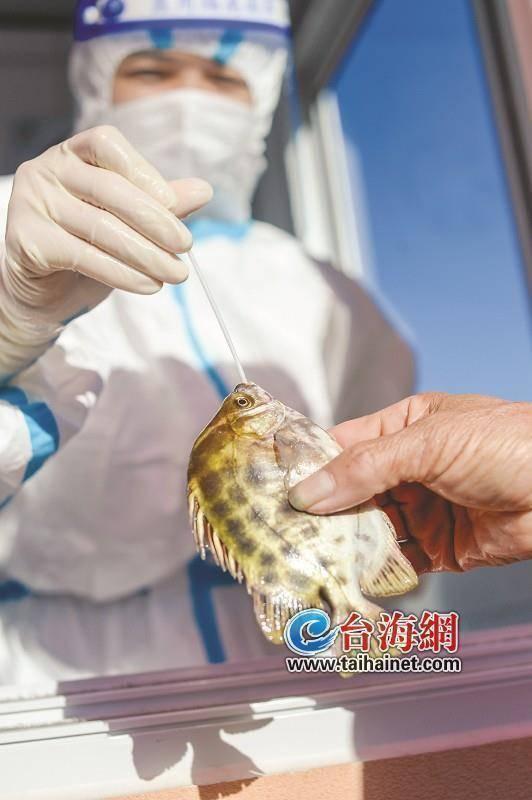 厦门市事业单位考试招聘网，一站式服务平台助力考生顺利上岸厦门市事业单位考试招聘网官网