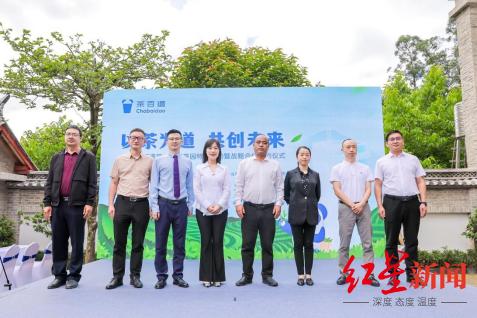 茶百道加盟店官网，探索茶饮文化的魅力与商机茶百道加盟店官网电话