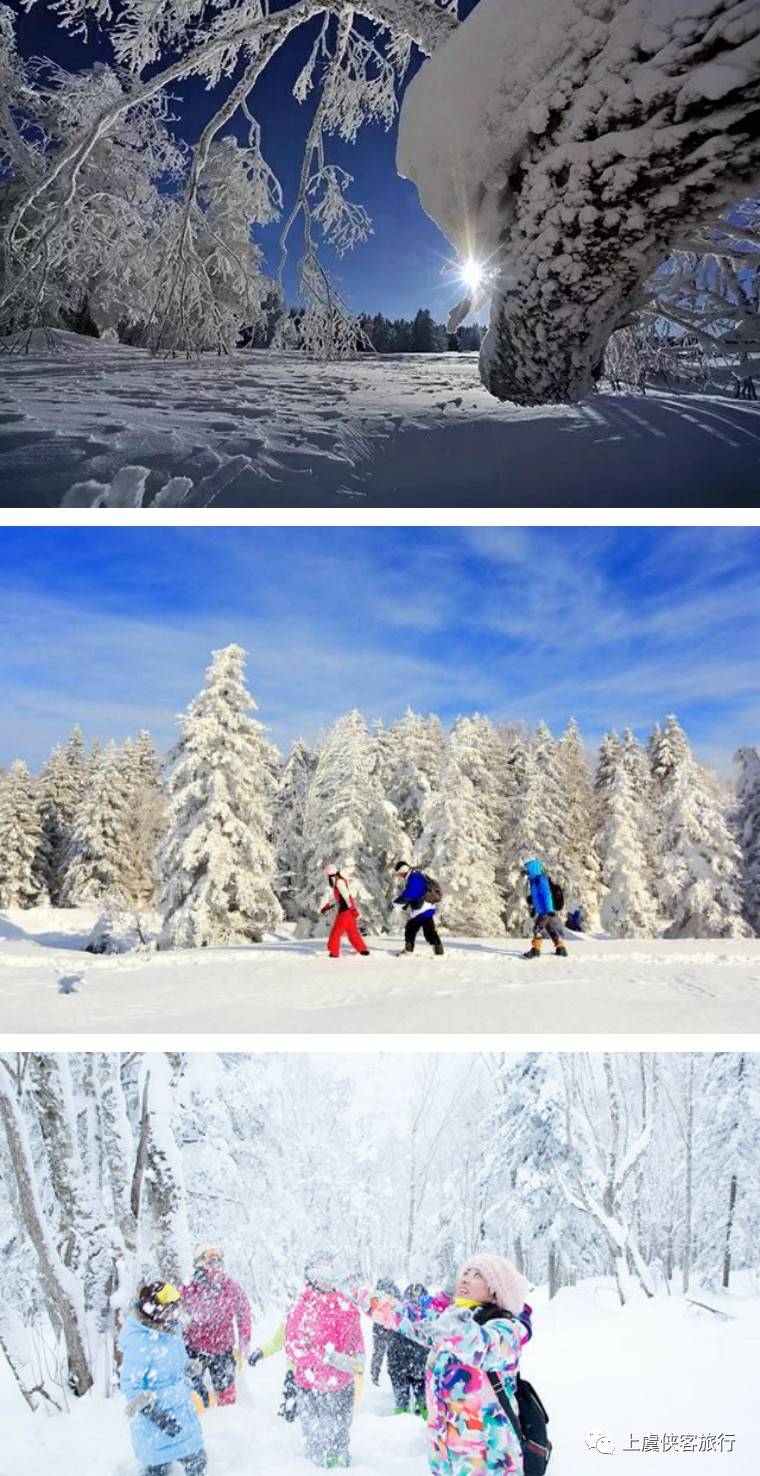 哈尔滨东北旅游定制，探索冰雪王国的独特魅力东北哈尔滨旅游景点大全排名
