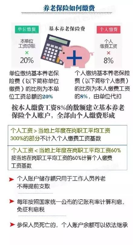 政府事业单位招聘网，连接人才与机会的桥梁政府事业单位招聘网2024公告