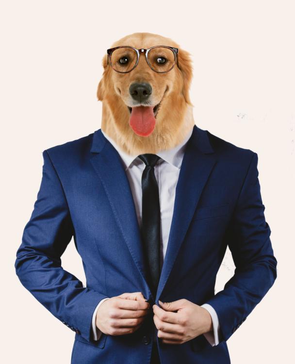 猎头公司联系方式，架起企业与人才之间的桥梁猎头公司联系方式大全