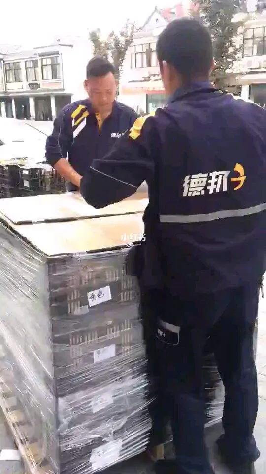 德运物流电话号码，连接你我，畅通无阻的物流服务桥梁德运物流电话号码是多少