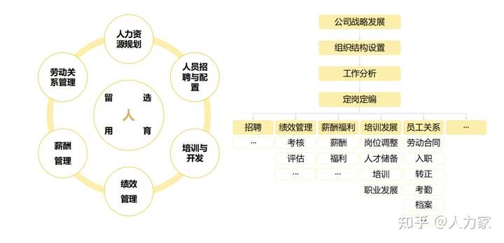 人力资源管理，定义、概念与重要性什么叫做人力资源管理,它的主要职能活动有哪些