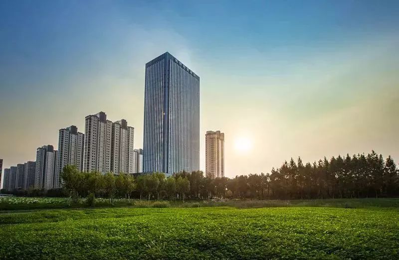 重庆人才信息网，连接未来与梦想的桥梁重庆人才信息网官网住房补贴申请